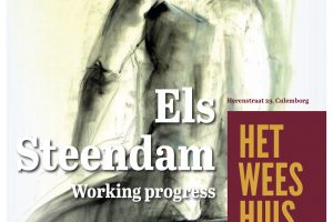 Els Steendam_progress Els Steendam_progress